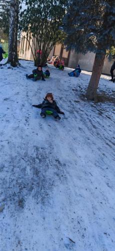 IMG_20250218_103139