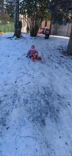 IMG_20250218_103233