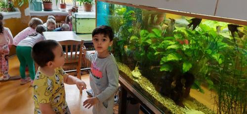 IMG_20250522_093327