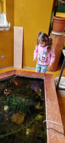 IMG_20250522_093603