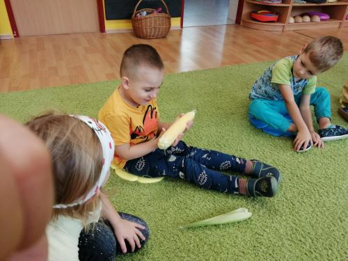 IMG 20231003 091115
