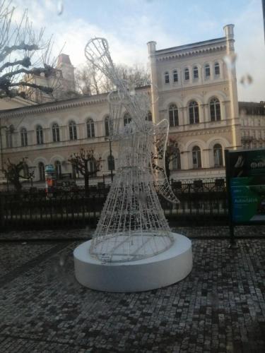 IMG 20231212 091109
