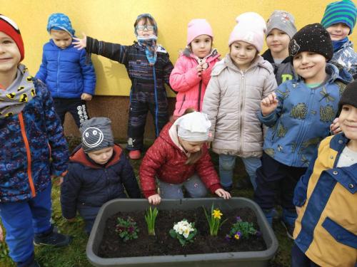 IMG 20240315 110201 (1)