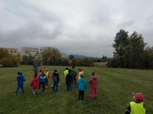 IMG 20241017 102204