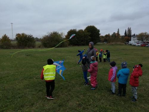 IMG 20241017 104622