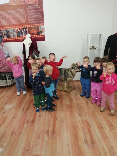 IMG 20241022 084311