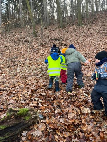 Obrazek-WhatsApp-2023-12-19-v-16.48.38 28ff634e