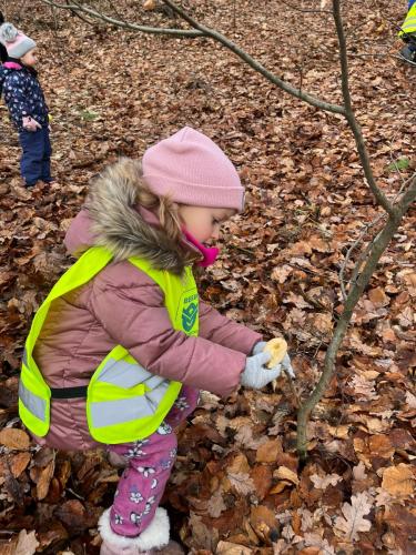 Obrazek-WhatsApp-2023-12-19-v-16.48.39 eb4fdb7c