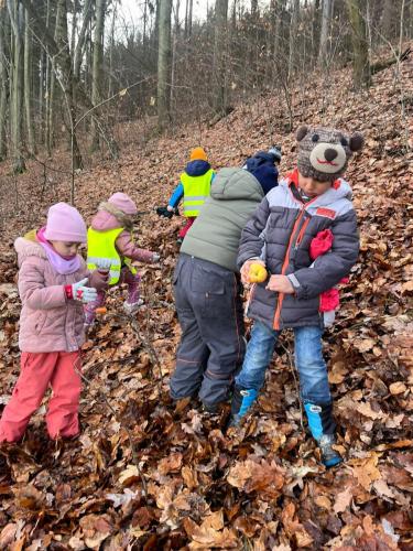 Obrazek-WhatsApp-2023-12-19-v-16.48.41 0031c67c