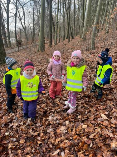 Obrazek-WhatsApp-2023-12-19-v-16.48.42 73eaeaf7