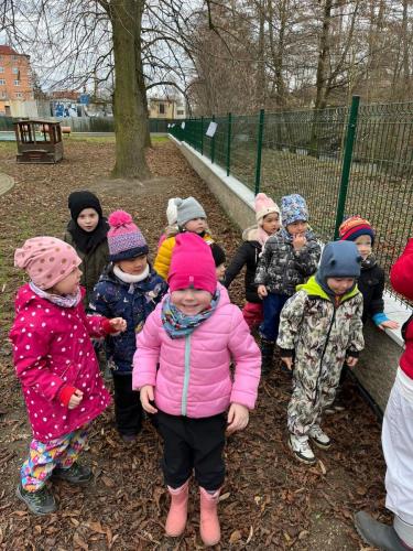 Obrazek-WhatsApp-2024-03-11-v-11.00.08 493eb9d2