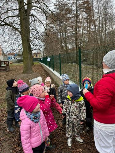 Obrazek-WhatsApp-2024-03-11-v-11.00.11 f60a0f42