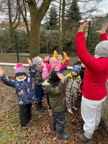 Obrazek-WhatsApp-2024-03-11-v-11.00.16 c5178ff4