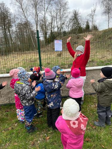 Obrazek-WhatsApp-2024-03-11-v-11.00.32 9d1de119