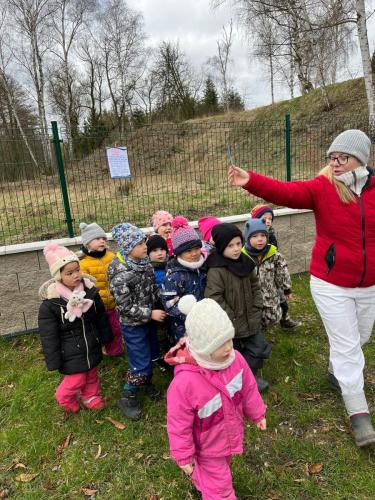 Obrazek-WhatsApp-2024-03-11-v-11.00.35 d6c3326a