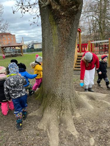 Obrazek-WhatsApp-2024-03-11-v-11.00.37 68204269