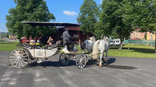 Obrazek-WhatsApp-2024-05-24-v-19.27.13 72ed6359 (1)