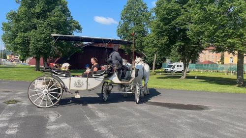 Obrazek-WhatsApp-2024-05-24-v-19.27.14 14828e40 (1)