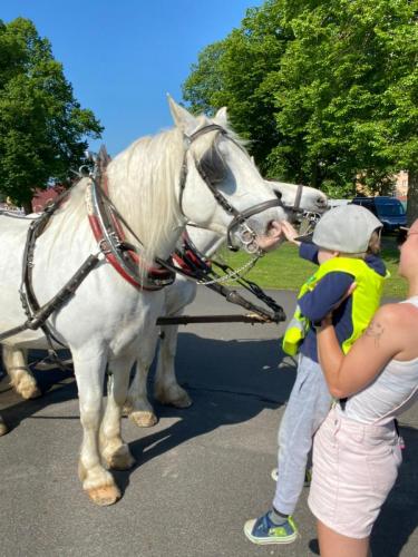 Obrazek-WhatsApp-2024-05-24-v-19.27.22 2311ddea (1)