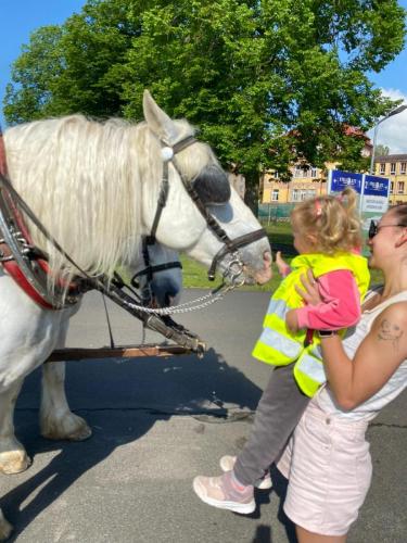 Obrazek-WhatsApp-2024-05-24-v-19.27.22 37654abf (1)