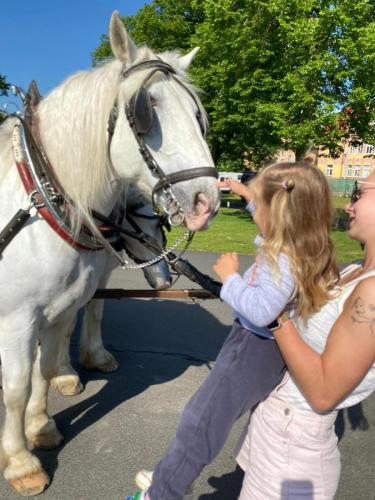 Obrazek-WhatsApp-2024-05-24-v-19.27.22 aa52a692 (1)