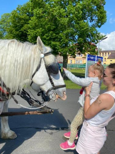 Obrazek-WhatsApp-2024-05-24-v-19.27.22 c38045b0 (1)