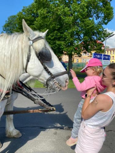 Obrazek-WhatsApp-2024-05-24-v-19.27.23 1e7b77a1 (1)