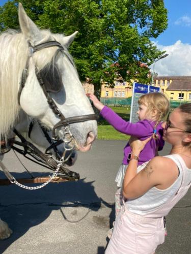 Obrazek-WhatsApp-2024-05-24-v-19.27.23 2ba3c0e4 (1)