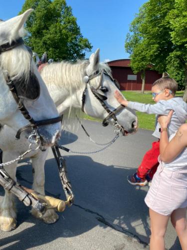 Obrazek-WhatsApp-2024-05-24-v-19.27.23 3aec1322 (1)