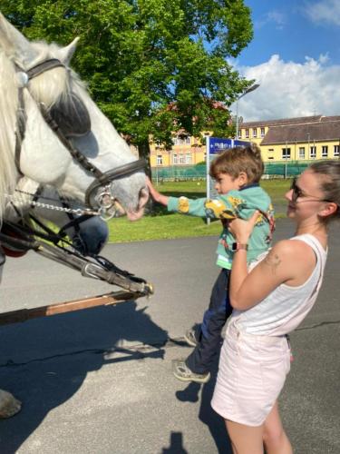 Obrazek-WhatsApp-2024-05-24-v-19.27.23 46e4fd28 (1)