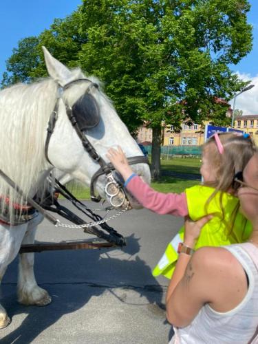 Obrazek-WhatsApp-2024-05-24-v-19.27.23 87e7f987 (1)