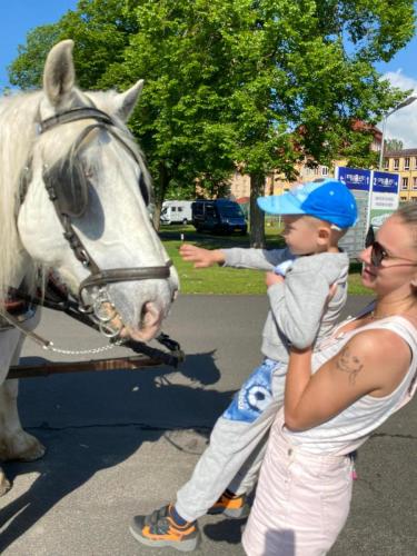 Obrazek-WhatsApp-2024-05-24-v-19.27.23 afedf042 (1)