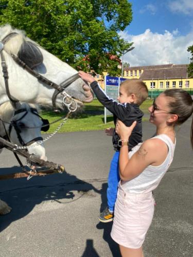 Obrazek-WhatsApp-2024-05-24-v-19.27.23 c16c4bb5 (1)