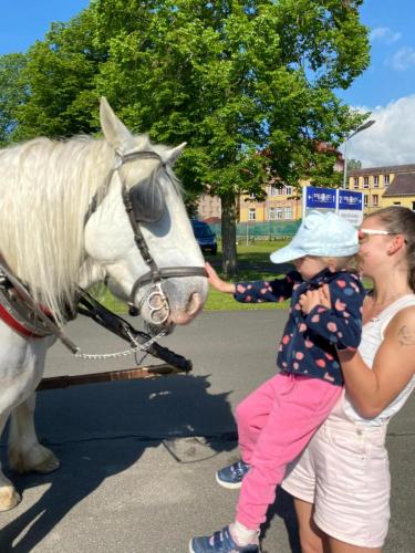 Obrazek-WhatsApp-2024-05-24-v-19.27.23 ed095630 (1)