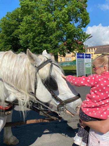 Obrazek-WhatsApp-2024-05-24-v-19.27.24 4e986c32 (1)