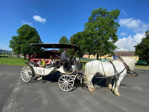 Obrazek-WhatsApp-2024-05-24-v-19.27.24 f8783b54 (1)