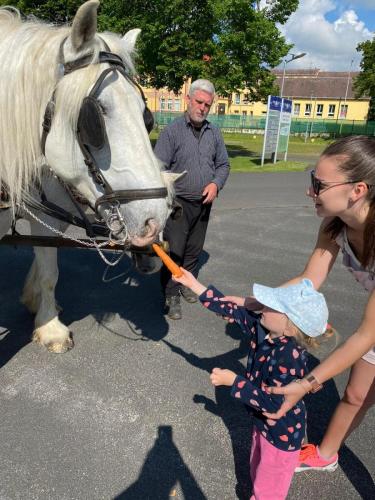 Obrazek-WhatsApp-2024-05-24-v-19.27.28 162f6873 (1)