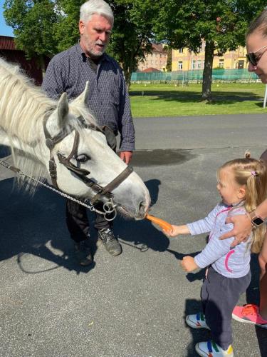 Obrazek-WhatsApp-2024-05-24-v-19.27.28 a210b8a5 (1)