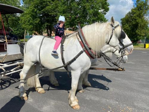 Obrazek-WhatsApp-2024-05-24-v-19.28.15 1283aaed (1)