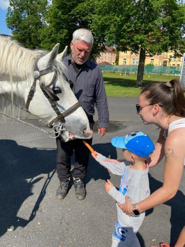 Obrazek-WhatsApp-2024-05-24-v-19.28.15 12b1ae0c (1)