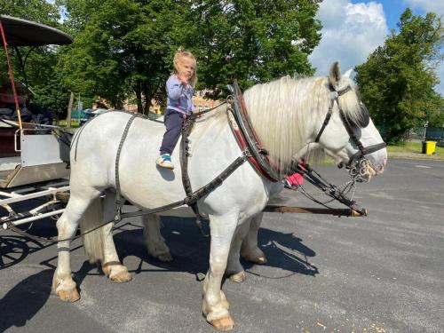 Obrazek-WhatsApp-2024-05-24-v-19.28.15 1f8f745a (1)