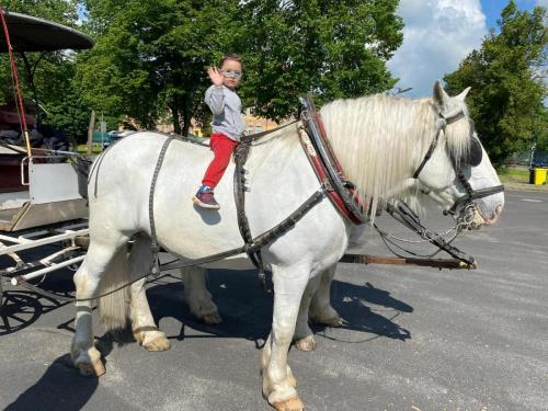 Obrazek-WhatsApp-2024-05-24-v-19.28.15 58a2b571 (1)