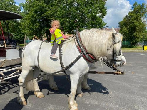 Obrazek-WhatsApp-2024-05-24-v-19.28.17 3104338d (1)