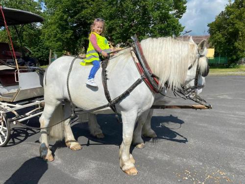 Obrazek-WhatsApp-2024-05-24-v-19.28.21 1f07a29d (1)