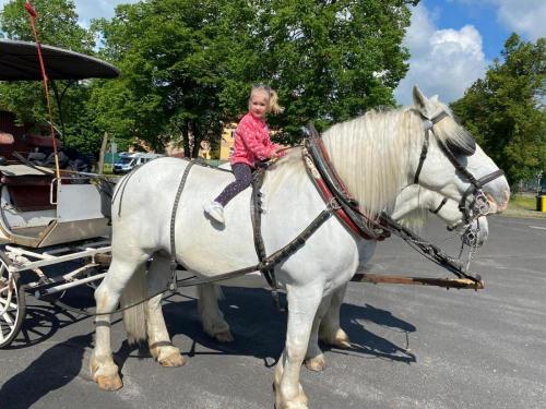 Obrazek-WhatsApp-2024-05-24-v-19.28.21 2460287c