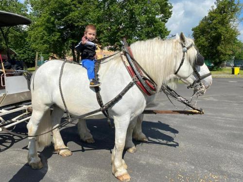 Obrazek-WhatsApp-2024-05-24-v-19.28.21 44d69111