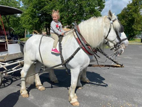 Obrazek-WhatsApp-2024-05-24-v-19.28.22 24a23b9f