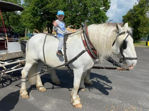 Obrazek-WhatsApp-2024-05-24-v-19.28.22 9a38bcc3