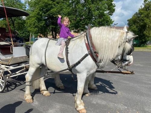 Obrazek-WhatsApp-2024-05-24-v-19.28.22 d6b099ed